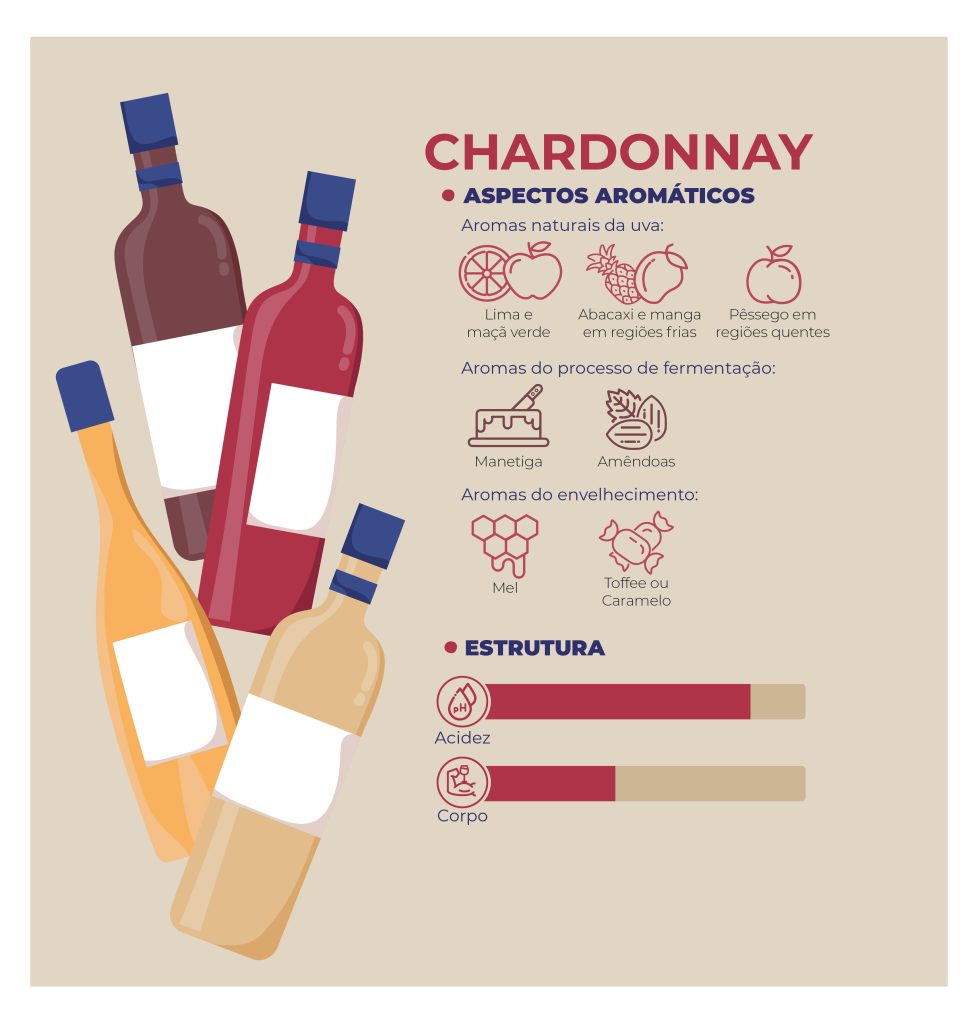 O que esperar de vinhos feitos com a Chardonnay