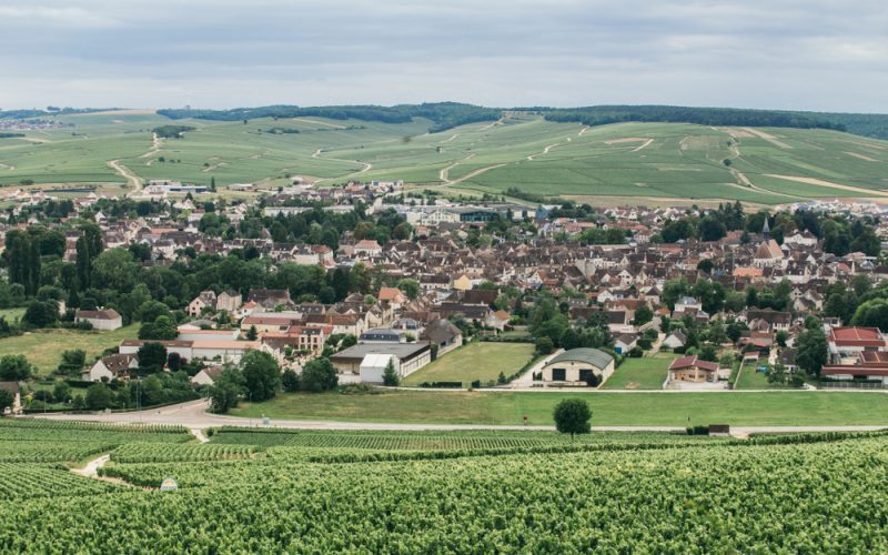 Vista de Chablis