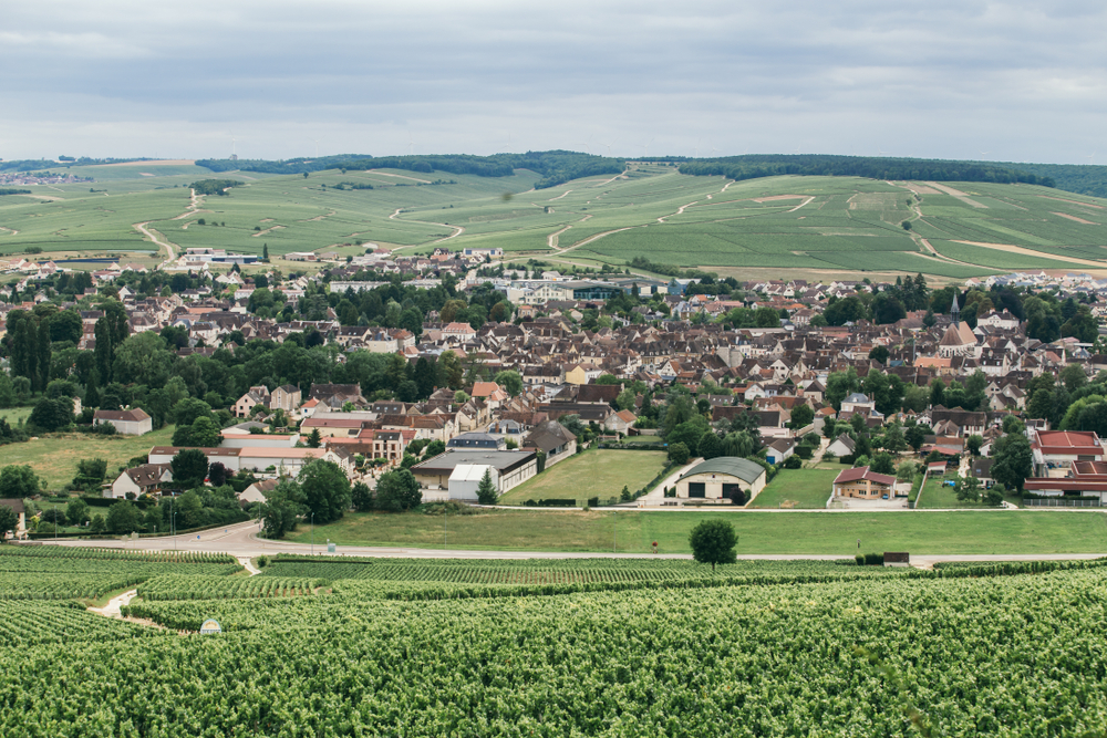 Vista de Chablis