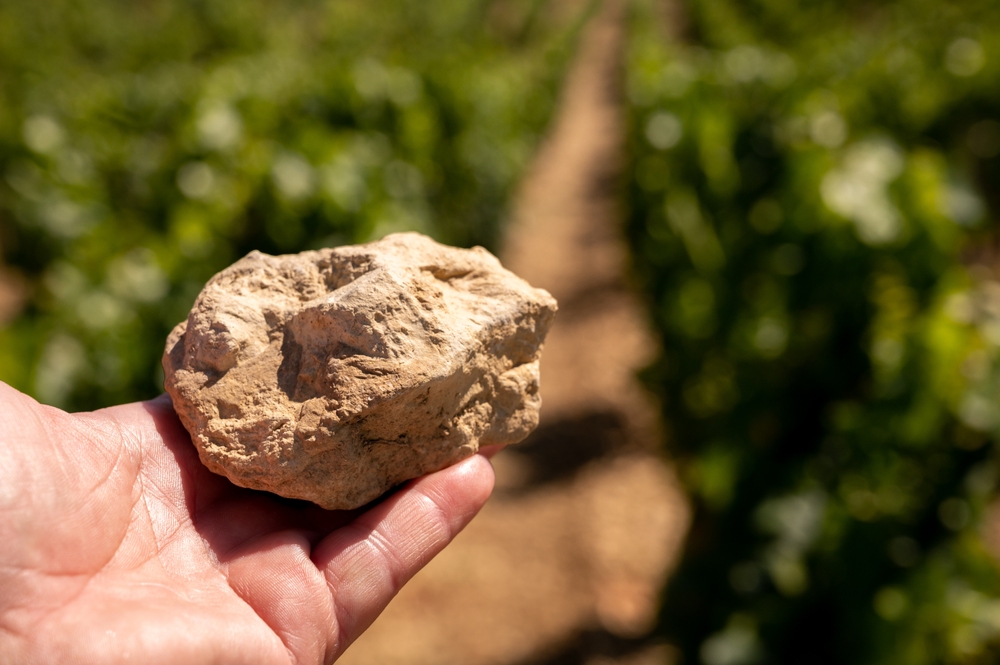 Solo Kimmeridgian em Chablis