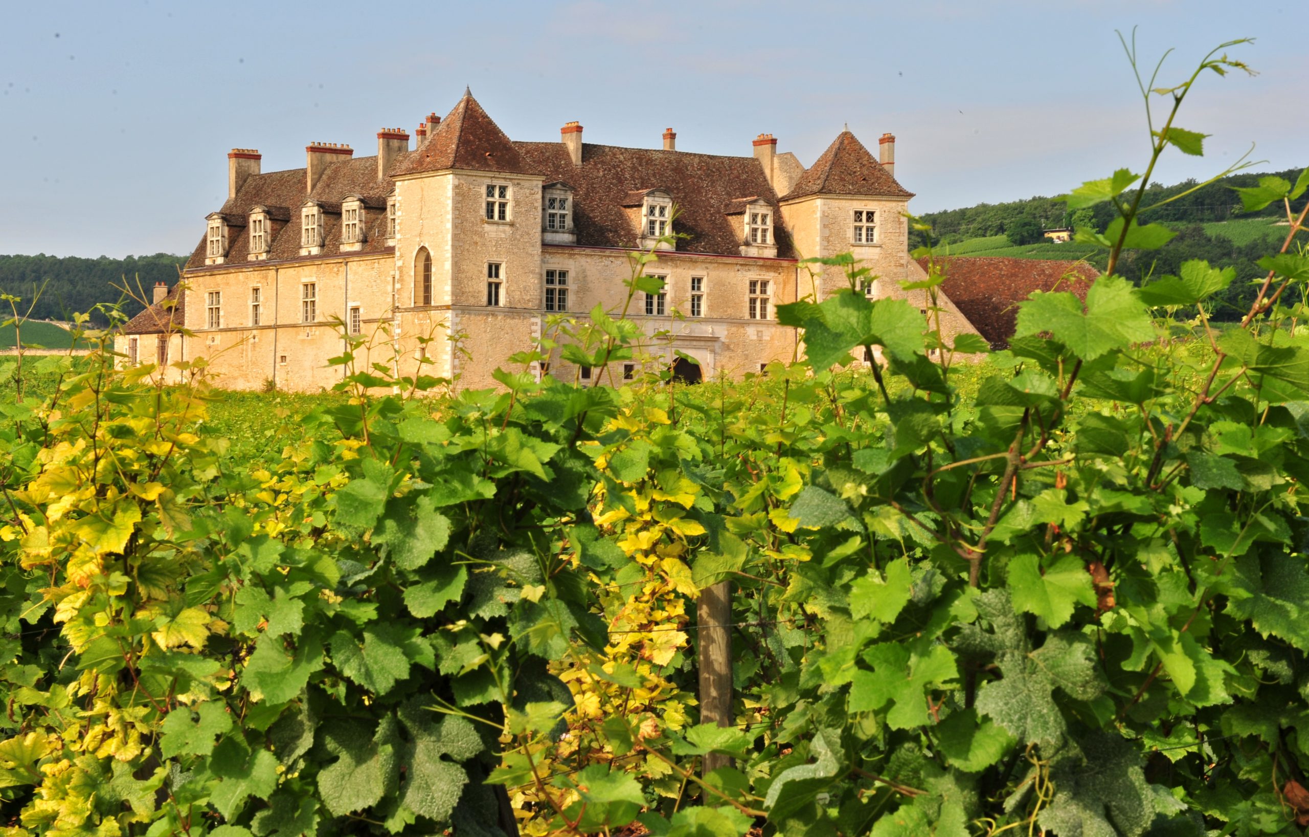 Domaine Bertagna