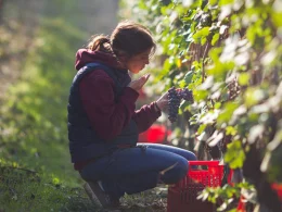 giulia-negri-piemonte
