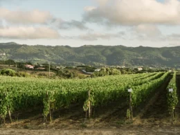 Quinta de San Michel