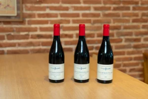 Garrafas de vinho Pinot Noir da Borgonha Domaine Julien dispostas em uma mesa.